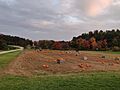 Mack's Apples in October 2021 2