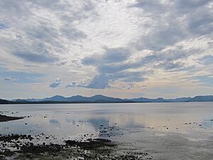 MassettInlet