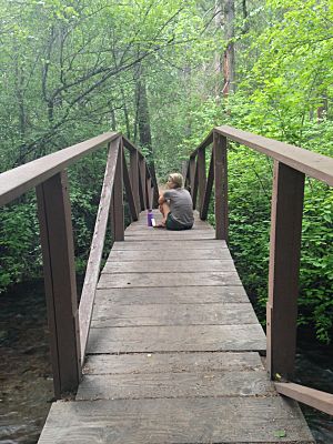 Mount Shasta City Park bridge to trails