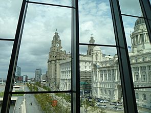 Museum of Liverpool Window