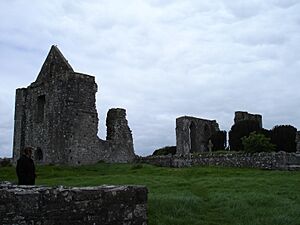 NewtownTrimCathedral