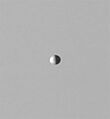 Pallene N1665945513 1
