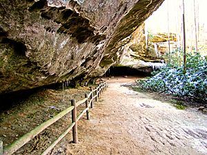 Pickett-hazard-cave-entrance-tn1