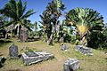 Pirates Cemetery Ile Ste Marie Madagascar