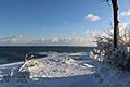Point Pelee looking south in January 2018