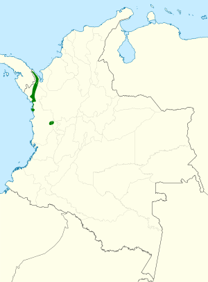 Psarocolius cassini map.svg