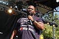 Raekwon at the Pitchfork Music Festival