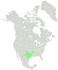 Range of Senecio ampullaceus-Native