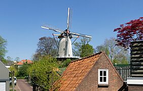 Rhenen, de Binnenmolen RM32465 IMG 9170 2019-04-19 14.00