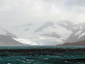 SG12 Antarctic Bay