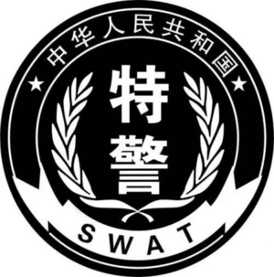 SWAT China