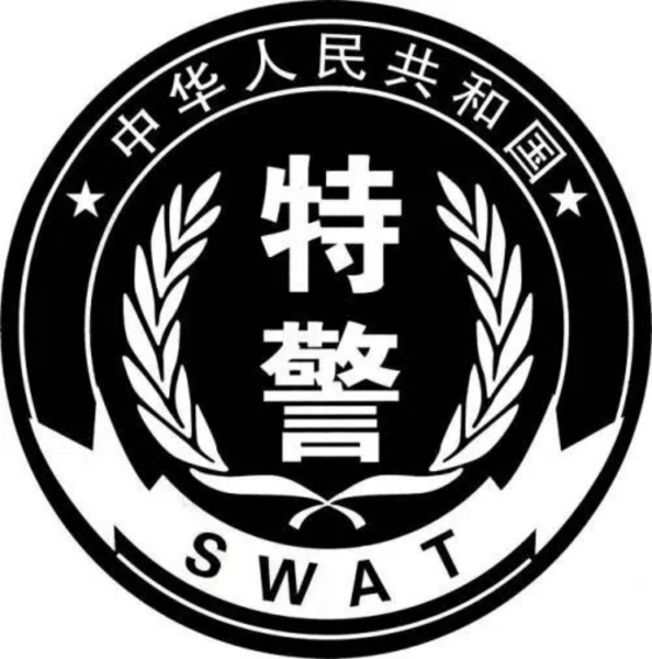 SWAT China