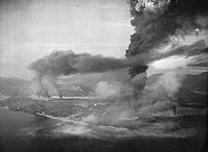Black and white aerial photograph of smoke rising from several locations