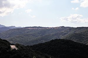 Sant'Antonio di Gallura, panorama (01).jpg