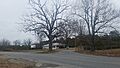 Sardis Shoe Tree