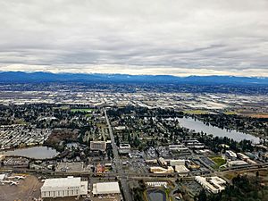 Aerial view of SeaTac, featuring Angle Lake