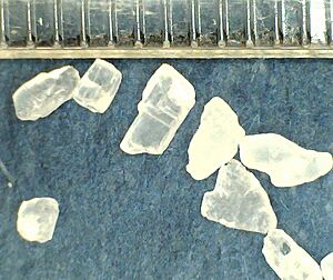 Sea Salt