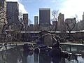Sea lion pool in Central Park Zoo, New York City 2013