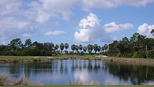 Shell Point Golf Course - panoramio (2)