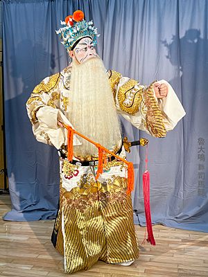 Sima Yi Peking Opera 京劇 司馬懿 京剧 司马懿