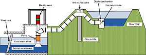 Spindle pump