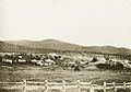 StateLibQld 1 236927 View of Tenterfield, New South Wales, 1887