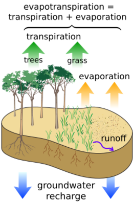 Surface water cycle