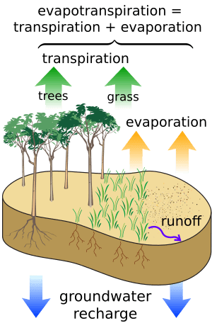 Surface water cycle