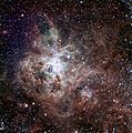 Tarantula Nebula TRAPPIST