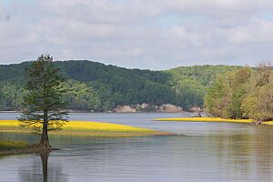 Tennessee national wildlife refuge
