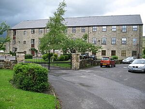 The Meadows at Red Lumb - geograph.org.uk - 483291