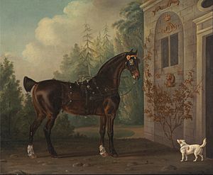 Thomas Gooch - Lord Abergavenny's Dark Bay Carriage Horse with a Terrier - Google Art Project