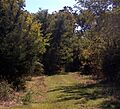 Trail Head at Poplar Thicket
