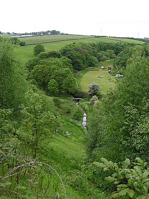 Tyersal Beck and Bridge - geograph.org.uk - 442484.jpg