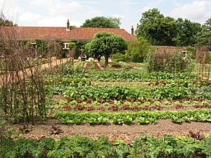 Vegetable garden at Ham House Estate - geograph.org.uk - 4530