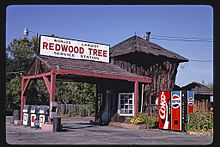 World's Largest Redwood Tree Service Station (1936), angle, Route 101, Ukiah, California LOC 37143730483.jpg