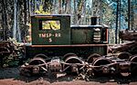 Yosemite Mountain Sugar Pine Railroad -5.jpg