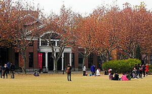 上海 普陀 华师大 群贤堂前草坪