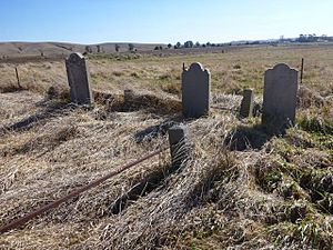 1904 - The Grange and Macquarie Plains Cemetery - View of the cemetery at the Grange, facing south from O'Connell Road and looking towards the river (5060570b22)