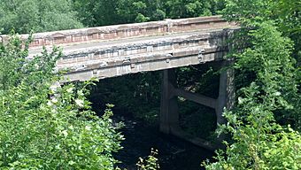 2013-07-13 Main Street, Black River Bridge.jpg