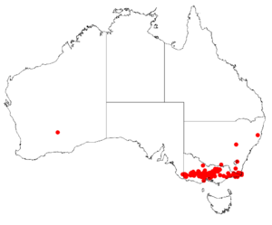 Acacia aculeatissimaDistMap13.png