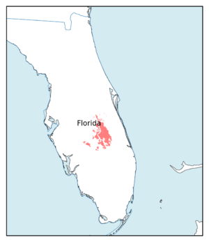 Ammodramus-savannarum-floridanus-current-range.png