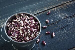 Anasazi beans (11002990623)