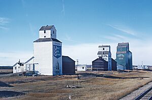 Another Roger Puta Cab Ride -- Western Canada This Time -- 13 Photos (35562015990).jpg