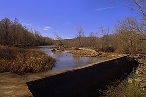 Appomattox Canal Dam.jpg