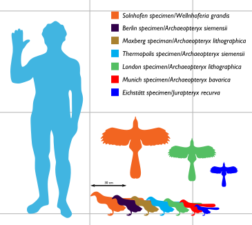 Archiesizeall1