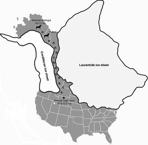 Assumed path of Beringian wolves from Beringia to Wyoming