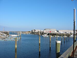 Barnstable harbor winter