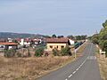 Berrikano