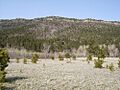 Beulah Valley - North Creek Mountain Range
